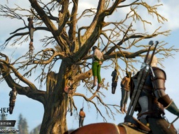 Видео: хорошая производительность The Witcher 3: Wild Hunt на Nintendo Switch