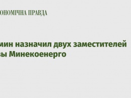 Кабмин назначил двух заместителей главы Минекоенерго