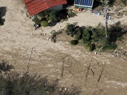 Число жертв тайфуна "Хагибис" в Японии превысило 70 человек