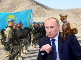 «А лисы кто?». Учения спецназа Казахстана и Китая оставят Россию в одиночестве
