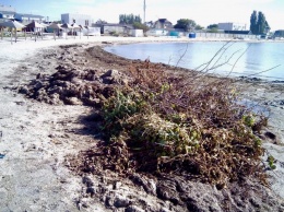 В Бердянске жители устроили свалку прямо на берегу моря