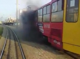 Во Львове на ходу загорелся трамвай: с огнем разобралась водитель (видео)