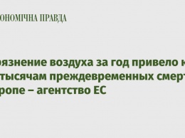 Загрязнение воздуха за год привело к 400 тысячам преждевременных смертей в Европе - агентство ЕС