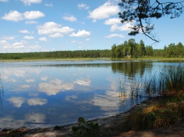 В Апостоловском районе предприниматели арендовали озеро и осушили его