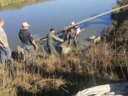 В Каневское водохранилище выпущено 4 тонны рыбы