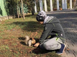 В парке имени Федора Мершавцева криворожанина укусила белка