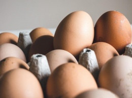Россиян уличили в чрезмерном потреблении яиц