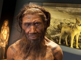 Археологи разгромили ранние гипотезы о неандертальцах