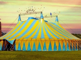 В спальном районе Запорожья покажут цирковое представление