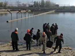 В пруд Запорожской АЭС запустили рыбок