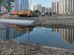 От властей Киева требуют провести аудит работ по восстановлению озера Подборная