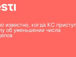 Стало известно, когда КС приступит к делу об уменьшении числа нардепов