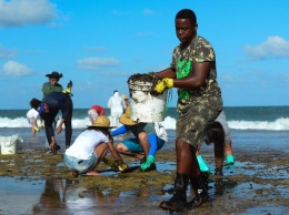 Очищать пляжи на северо-востоке Бразилии от нефти вышли тысячи людей (ФОТО)