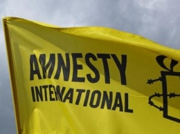 Турция Amnesty обвиняет в предвзятом освещении ситуации в Сирии