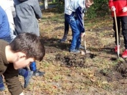На Херсонщине школьники и жители села высадили 60 кустов роз