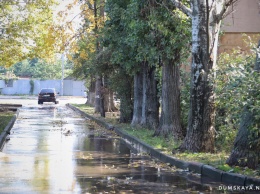 Комарова второй день заливает из-за прорыва трубы: вода бьет прямо из-под корней дерева