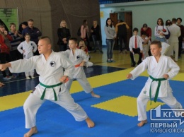 Больше 30 медалей завоевали криврожские каратисты на Кубке Днепропетровской области