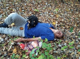 На Закарпатье в лесу собака спасла жизнь хозяину
