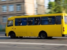Под Киевом у водителя маршрутки алкоголь в крови превышал норму в 9 раз