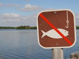 С 1 ноября на Киевщине вводится запрет на вылов рыбы в зимовальных ямах