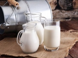 Украина может остаться без молока: в стране массово вырезают коров и закрывают фермы