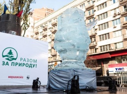 В Киеве на бульваре Шевченко установили ледяную скульптуру рыси