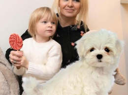 Дрессировка вместо воспитания - Рудковская сравнила 6-летнего сына с псом