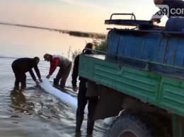 Предприниматели за свои средства зарыбили водоемы Присамарья