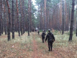 Прошли сутки с пропажи женщины в лесу: поиски продолжаются (фото)