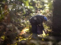 Спасатели помогли разыскать грибников, заблудившихся в лесу под Харьковом