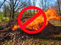 Почему нельзя сжигать сухую листву (потому что вредно и дорого)