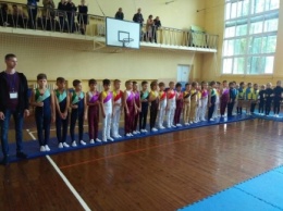 В Мелитополе юные гимнасты боролись за победу (фото)