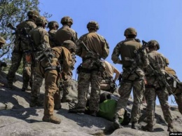 Украинский спецназ станет частью НАТО