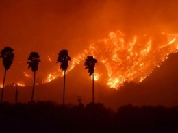 Пожары в Калифорнии угрожают домам Шварценеггера и прочих знаменитостей