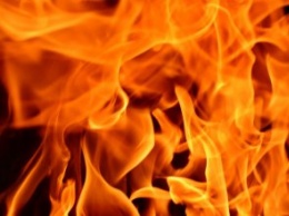На Днепропетровщине во время движения загорелось авто: водитель потушил огонь до приезда спасателей
