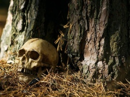 В лесопосадке: в Харькове нашли скелет