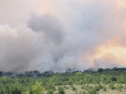 Жертвам лесных пожаров грозят годы кашля