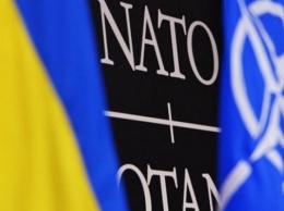 Столтенбергу рассказали, почему Украина не будет подавать заявку на членство в НАТО