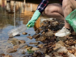 Greenpeace выяснил, что берега рек и озер Петербурга загрязнены пластиком