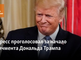 Нижняя палата Конгресса проголосовала за порядок импичмента Дональда Трампа