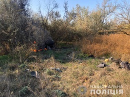 Легковушка влетела в дерево и сгорела под Беляевкой - погибли два пассажира