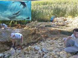 В Польше впервые нашли останки плиозавра