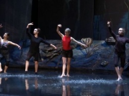 В Харькове впервые балет "Лебединое озеро" станцуют на воде