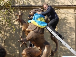 Самого большого льва одели в национальный флаг - Львов отмечает 101 годовщину ЗУНР