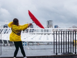 На Киев надвигается сильный ветер: синоптики объявили желтый уровень опасности