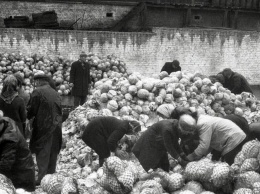 Позорные фото советского капустного рабства