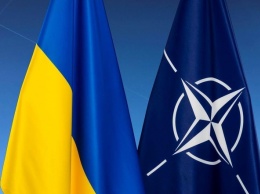 В НАТО не пожелали встречи с освобожденными украинскими моряками