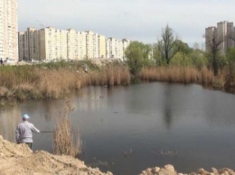 Озеро Утиное просят включить в ДПТ в Дарницком районе столицы как проблемный экологический объект