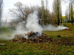 В Никополе штрафуют за сжигание листьев и мусора
