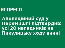 Апелляционный суд в Перемышле подтвердил: все 20 нападавших на Пикулицкое шествие виноваты